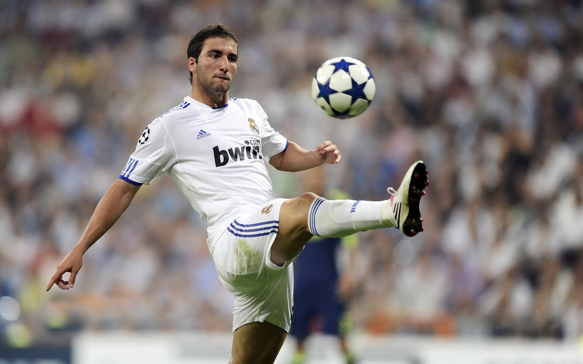 城市自行车改装秀：速度与个性的融合，自行车改装车